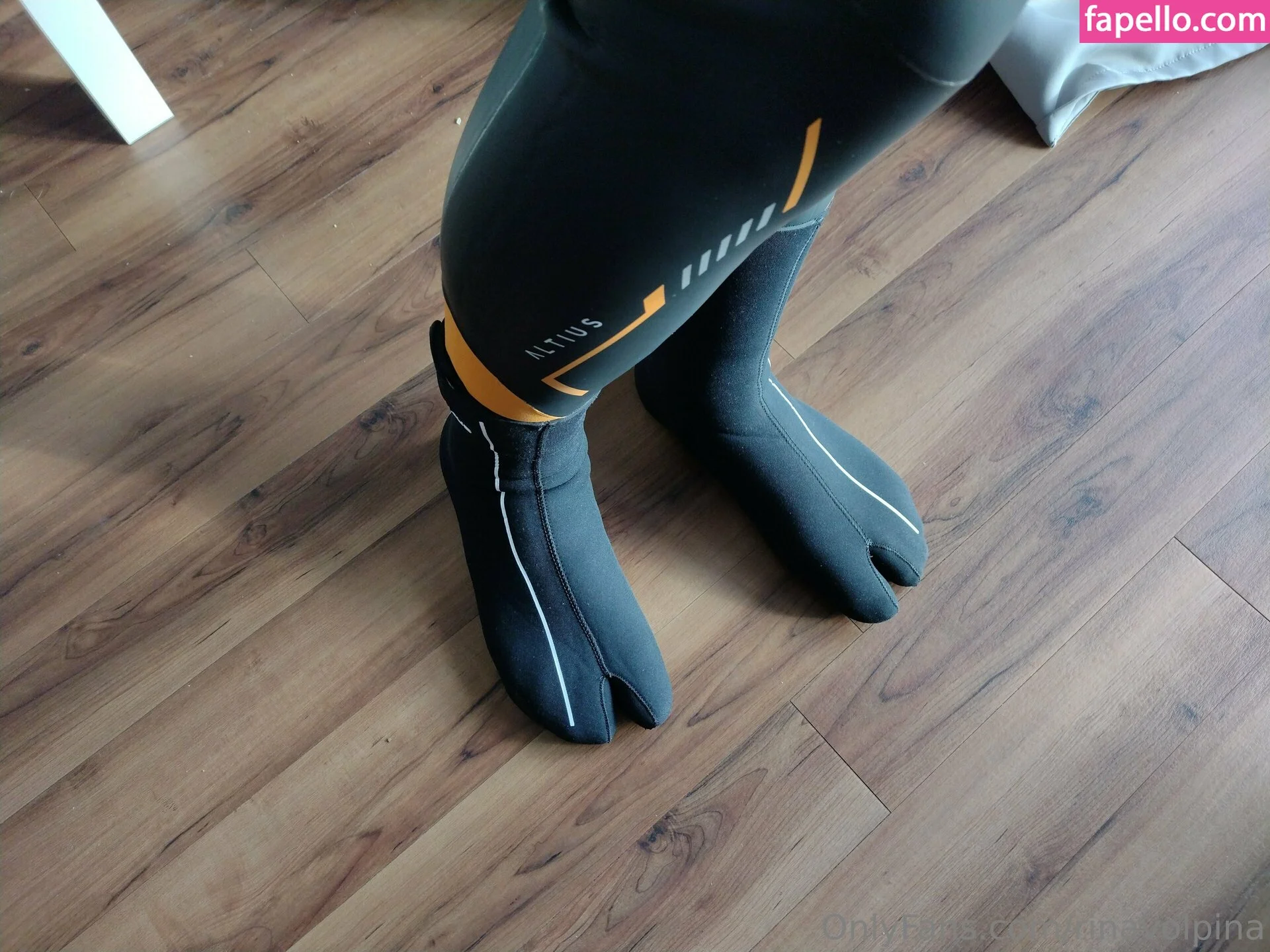 rinavolpina Onlyfans Photo Gallery 