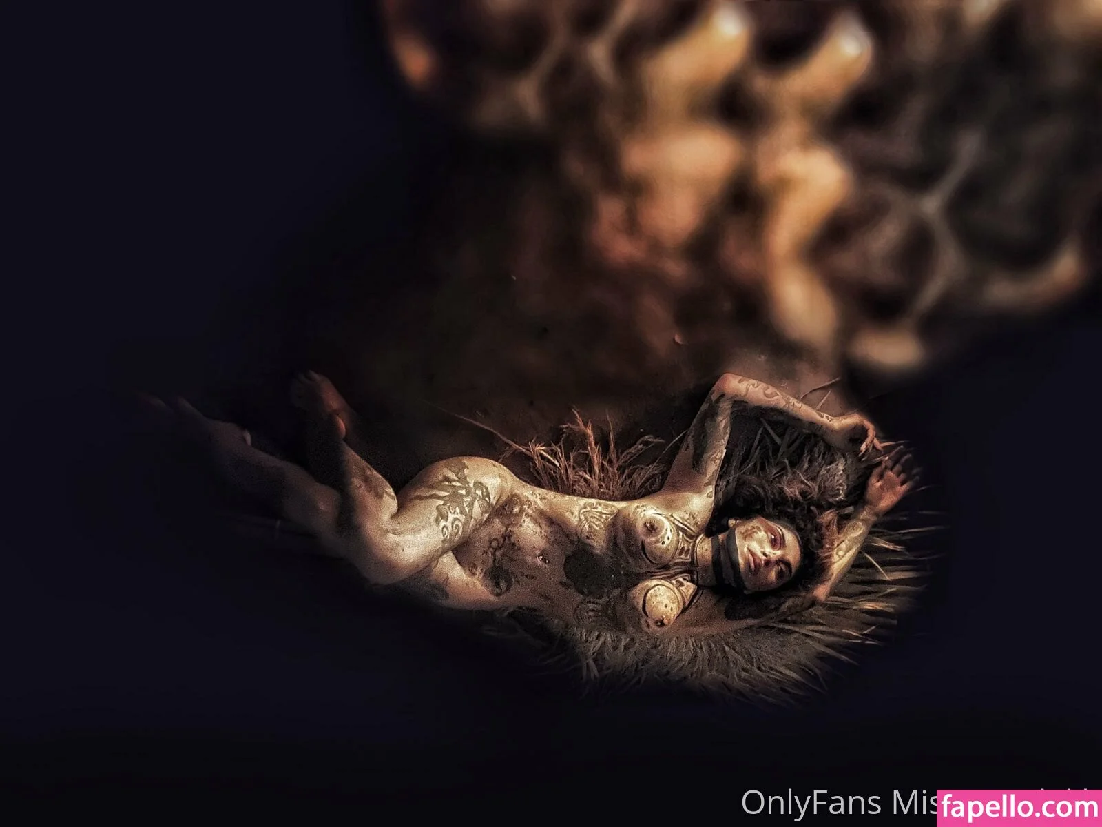 mvandalik Onlyfans Photo Gallery 