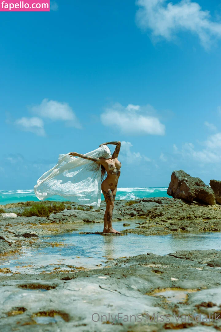 mvandalik Onlyfans Photo Gallery 