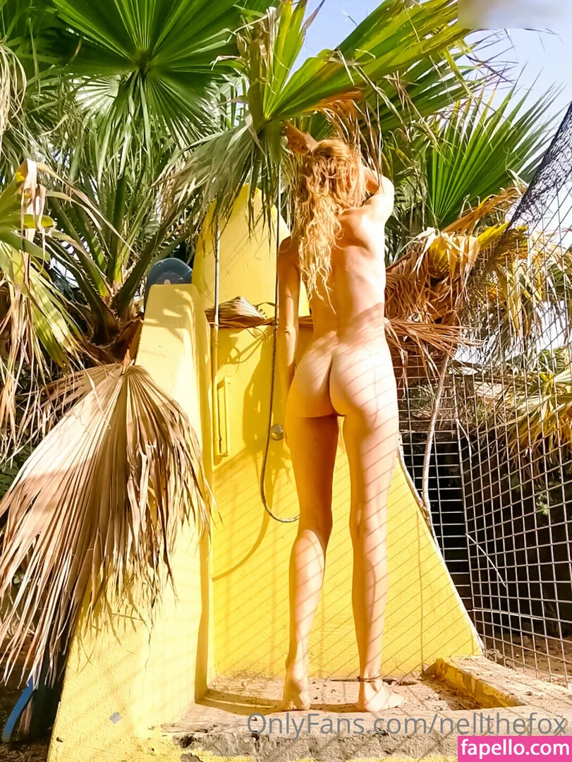 nell_thefox Onlyfans Photo Gallery 