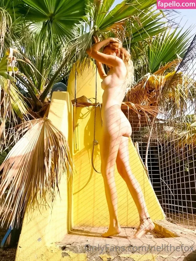 nell_thefox Onlyfans Photo Gallery 
