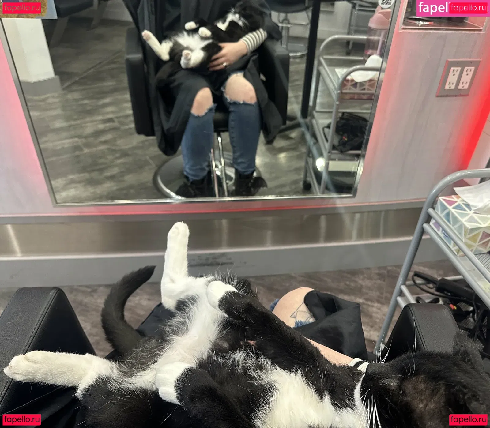 CottontailVA Onlyfans Photo Gallery 