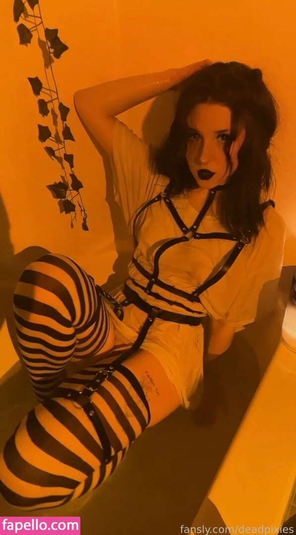 deadpixies Onlyfans Photo Gallery 