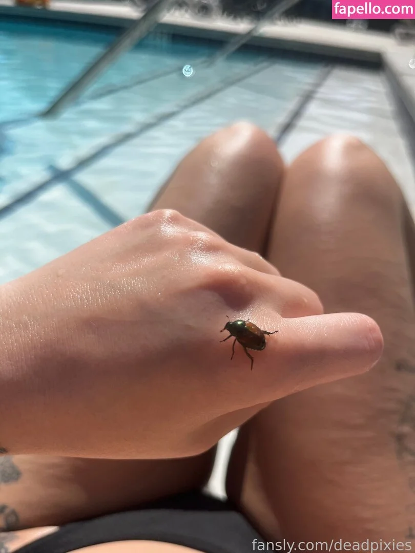 deadpixies Onlyfans Photo Gallery 