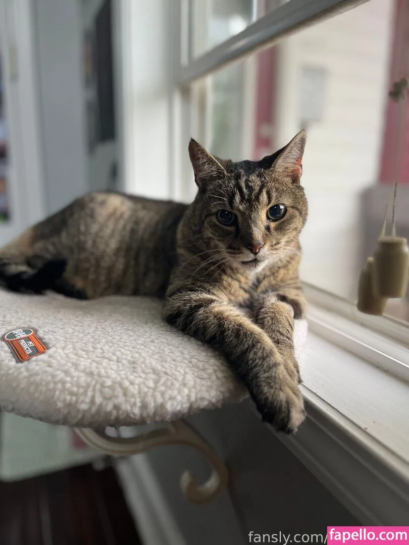 deadpixies Onlyfans Photo Gallery 