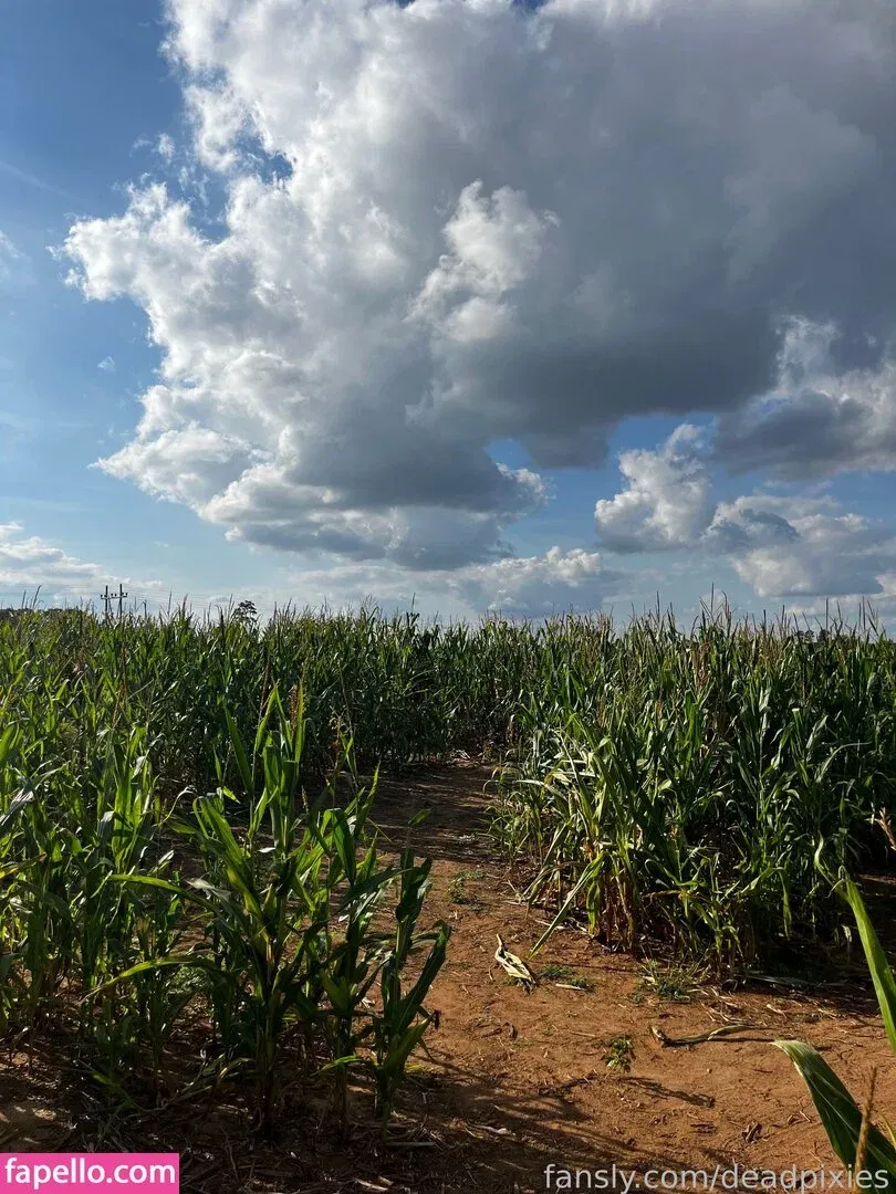 deadpixies Onlyfans Photo Gallery 