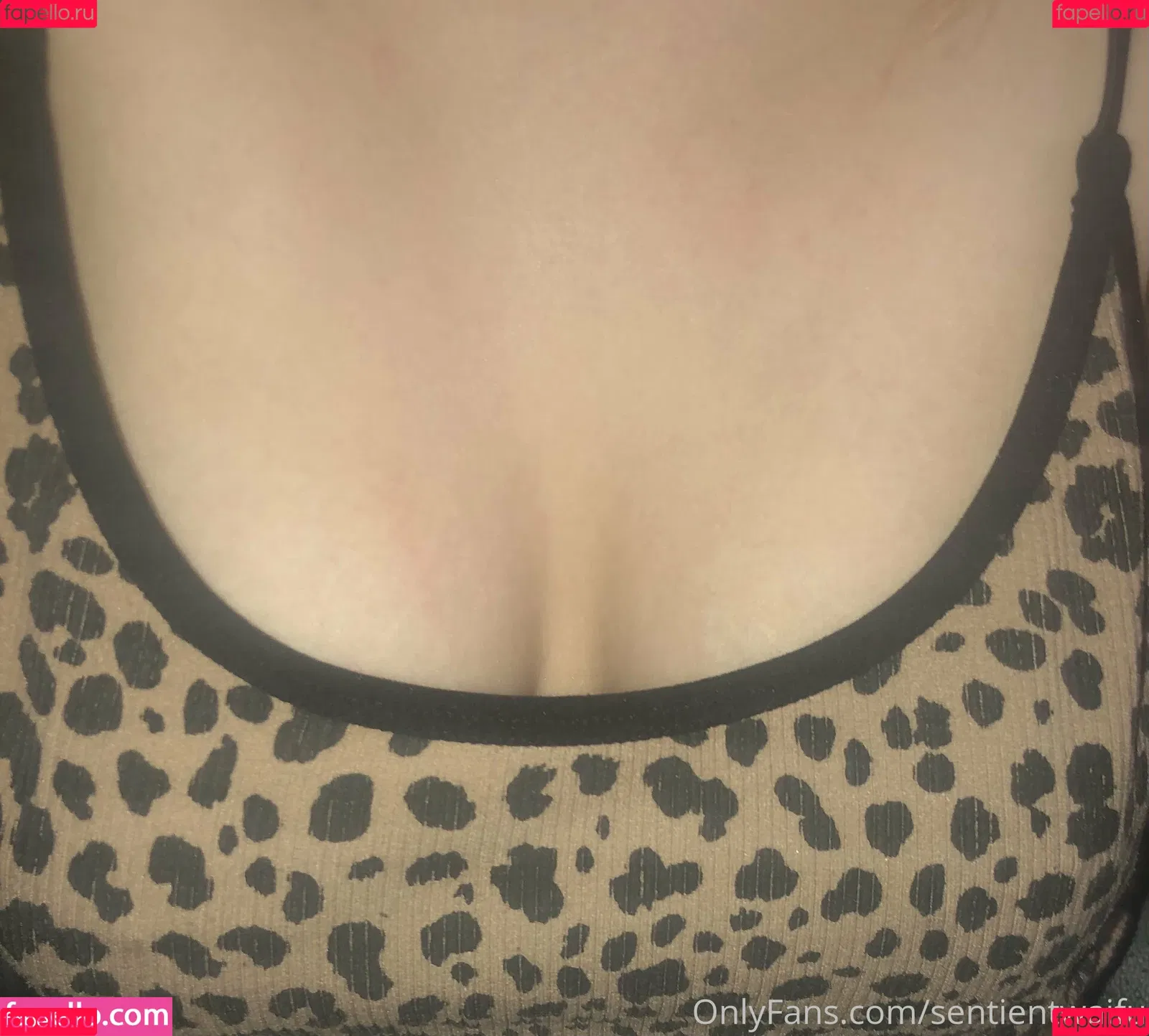 sentientwaifu Onlyfans Photo Gallery 