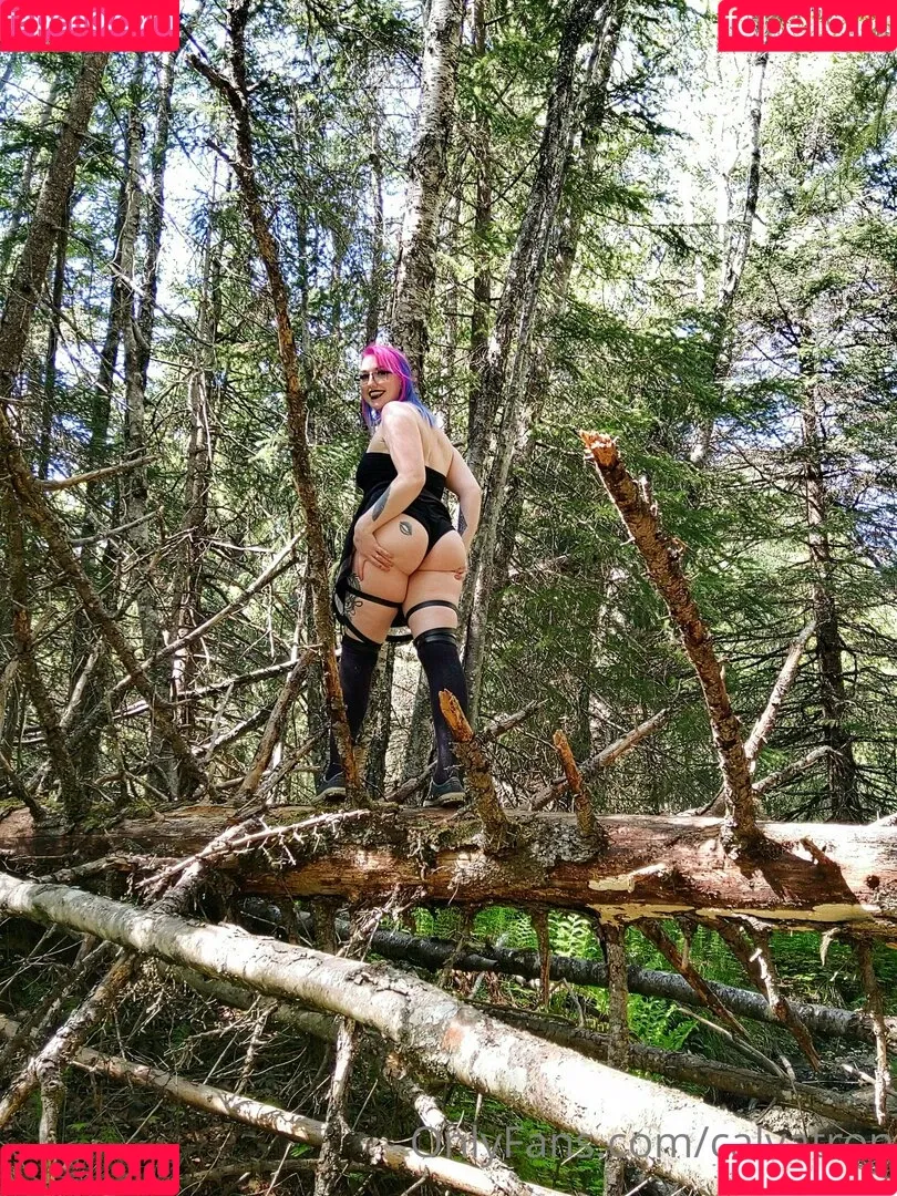 calvatron Onlyfans Photo Gallery 