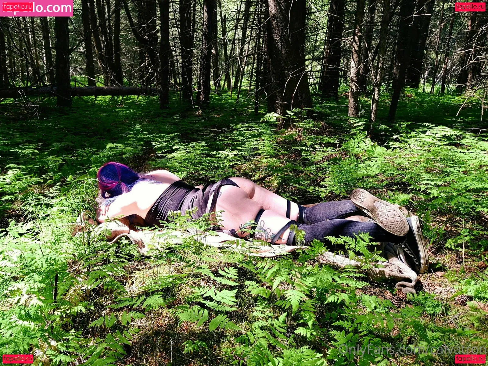 calvatron Onlyfans Photo Gallery 