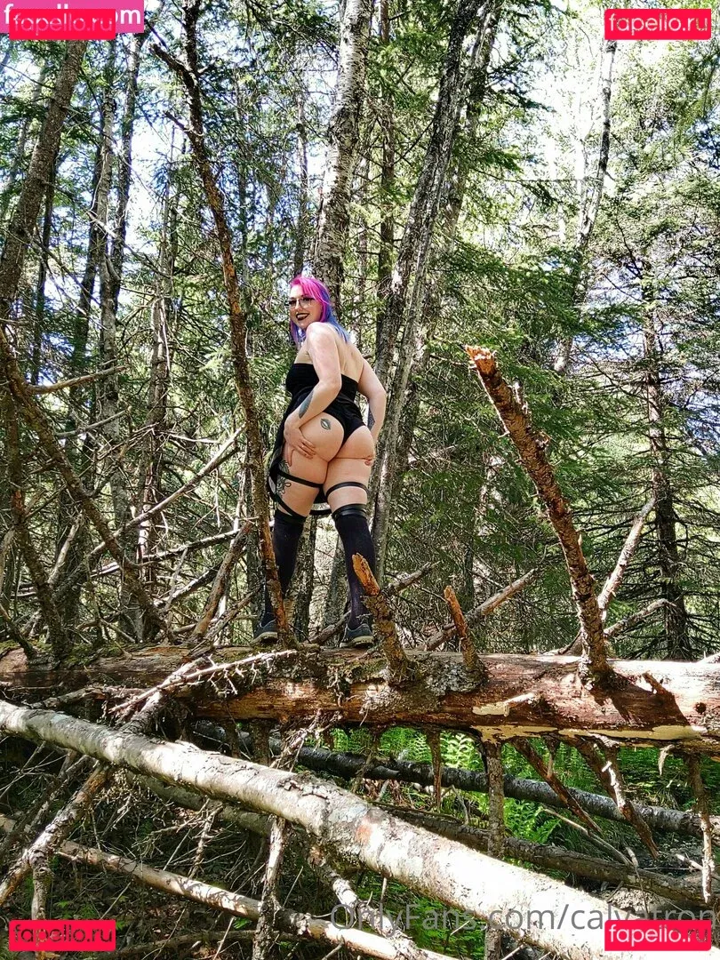 calvatron Onlyfans Photo Gallery 