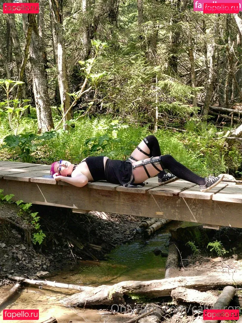 calvatron Onlyfans Photo Gallery 