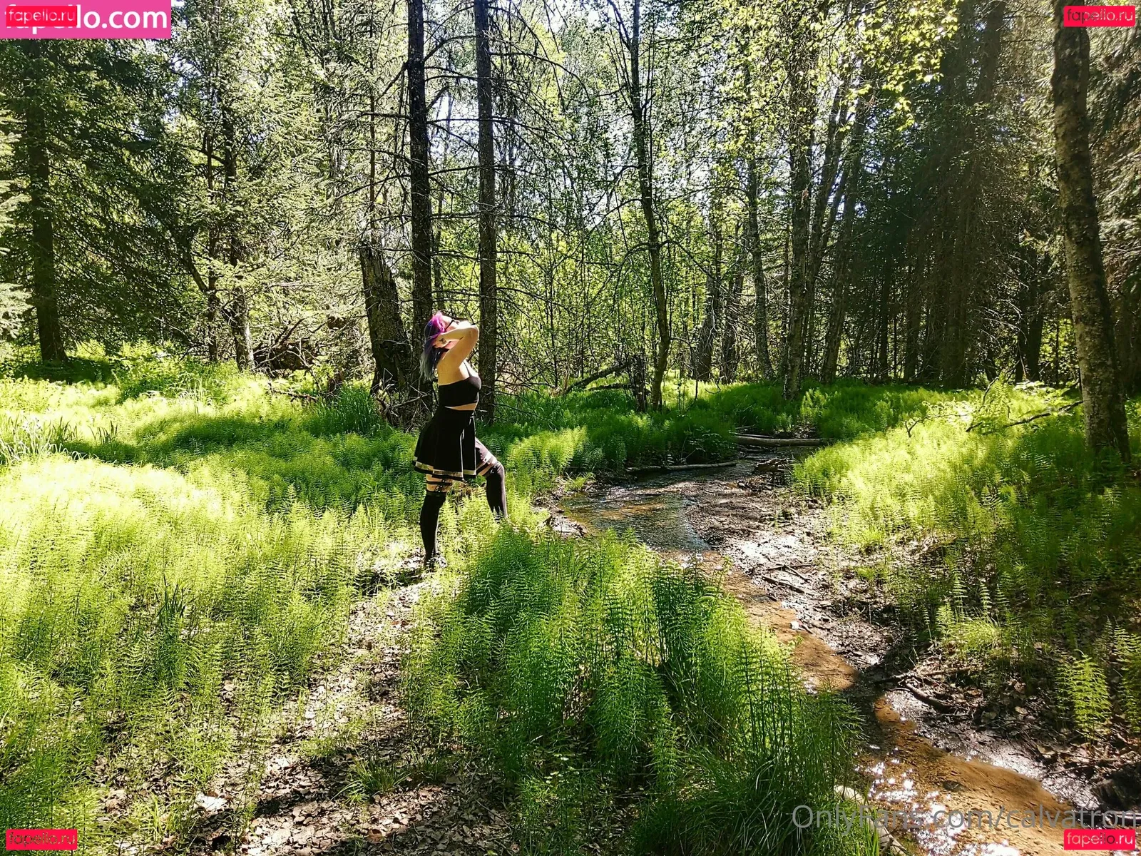 calvatron Onlyfans Photo Gallery 