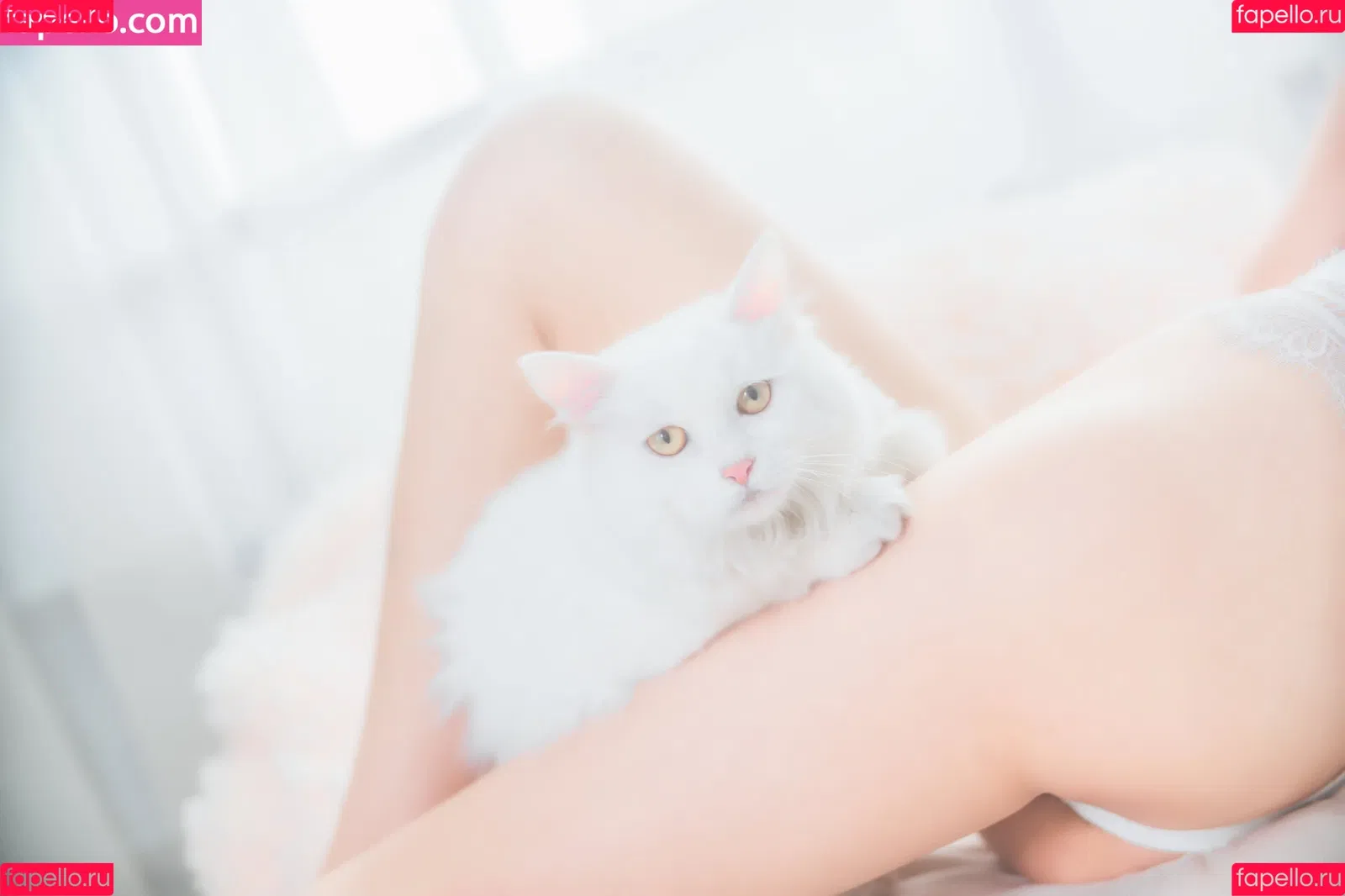 cherryneko0628 Onlyfans Photo Gallery 