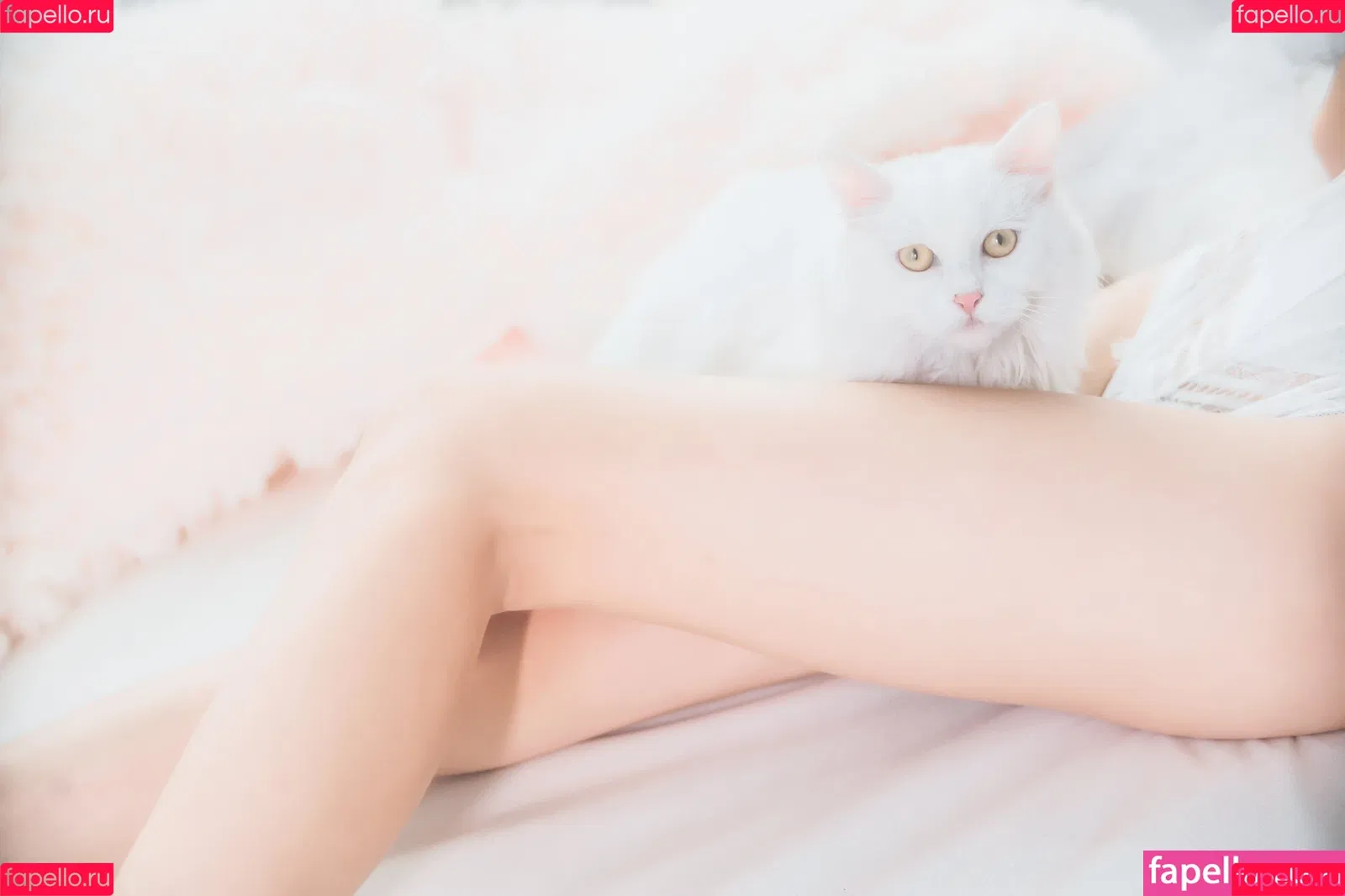 cherryneko0628 Onlyfans Photo Gallery 