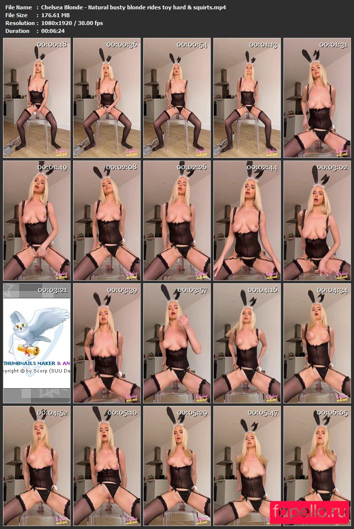 chelseablondevip Nude Onlyfans Photo 23