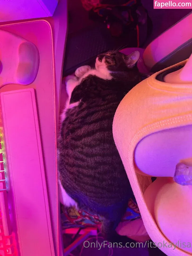 lisasayshello Onlyfans Photo Gallery 