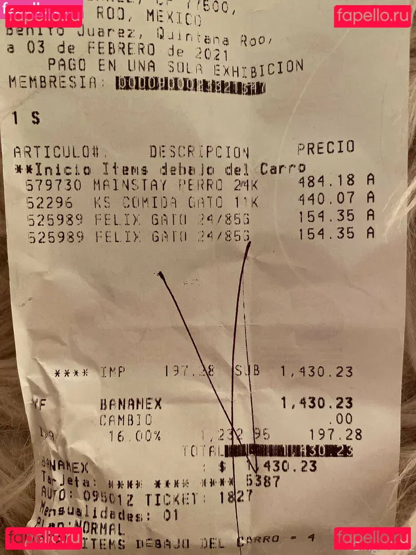 gingermfc Onlyfans Photo Gallery 