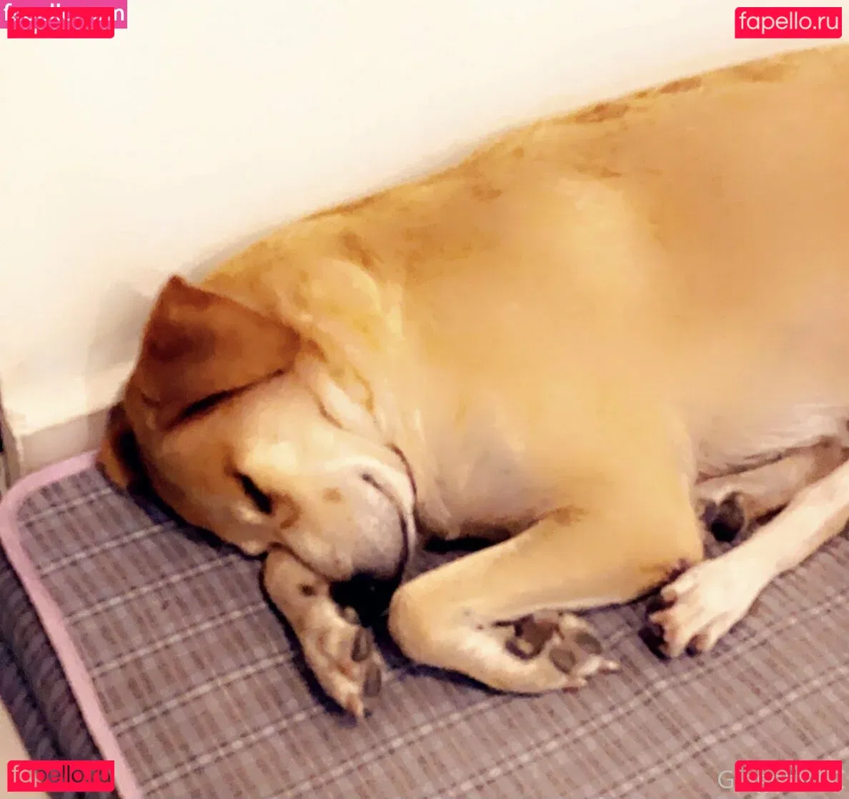 gingermfc Onlyfans Photo Gallery 