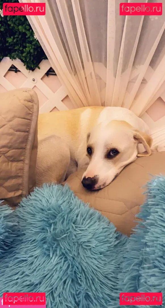 gingermfc Onlyfans Photo Gallery 