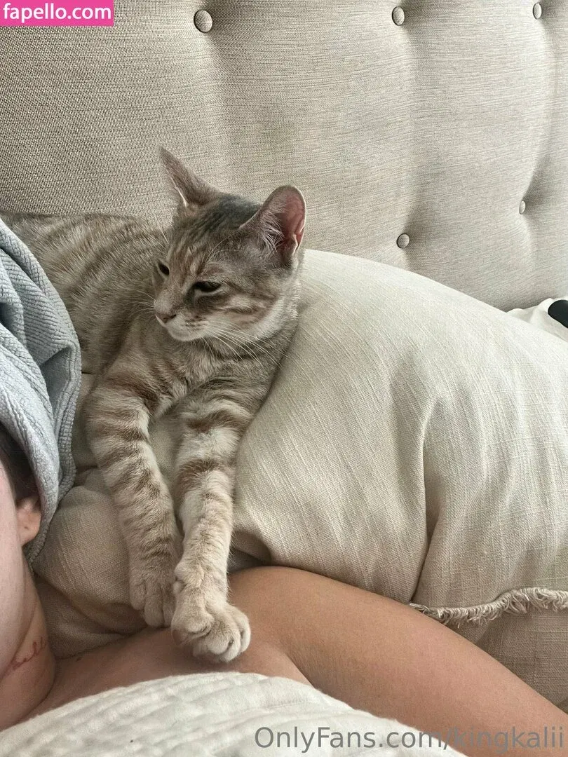 kingkalii Onlyfans Photo Gallery 