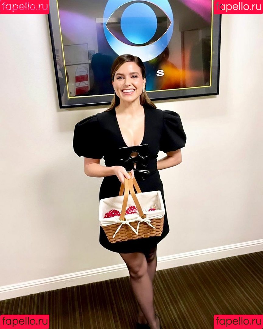 Sophia Bush Onlyfans Photo Gallery 