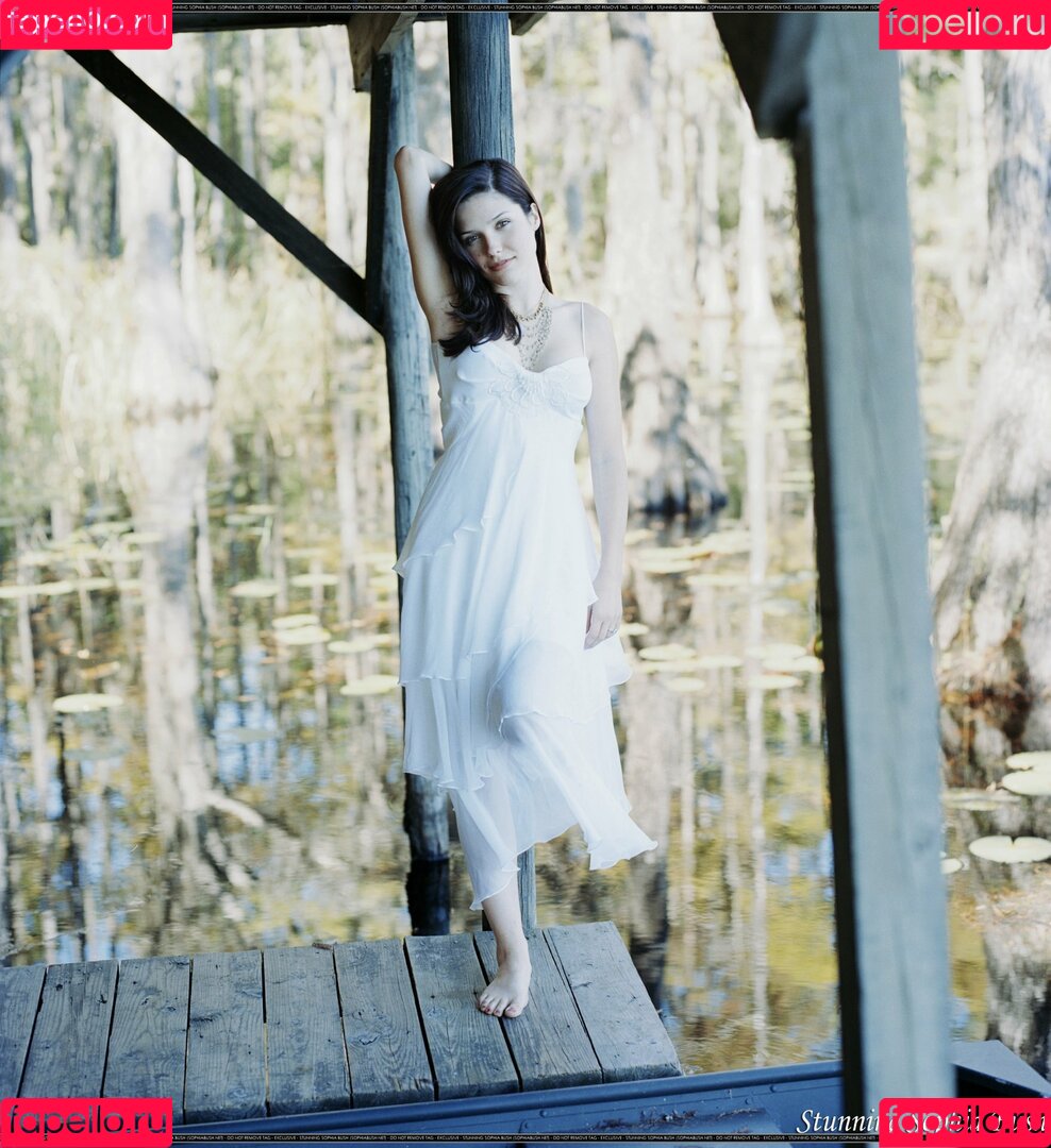 Sophia Bush Onlyfans Photo Gallery 