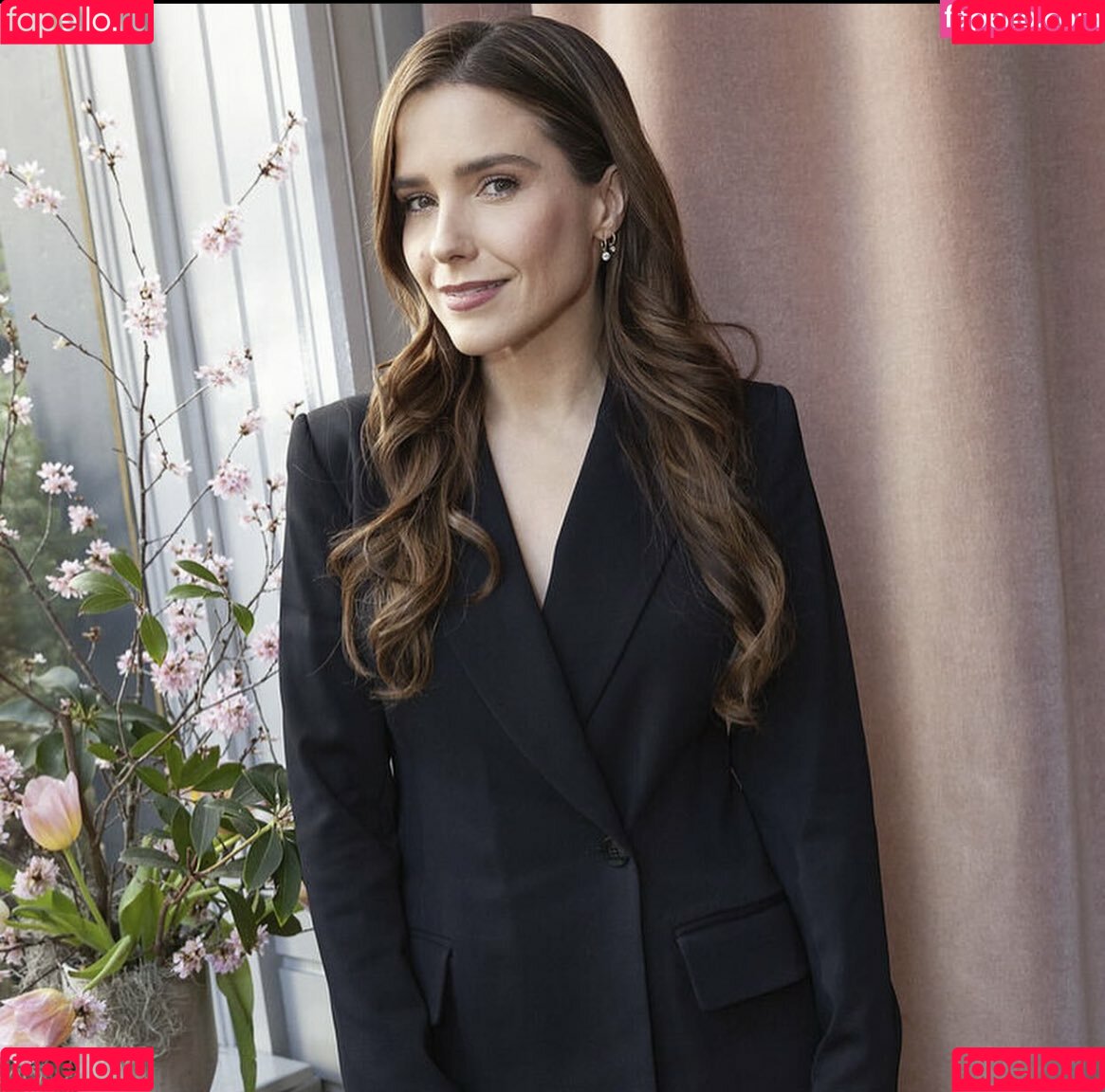 Sophia Bush Onlyfans Photo Gallery 