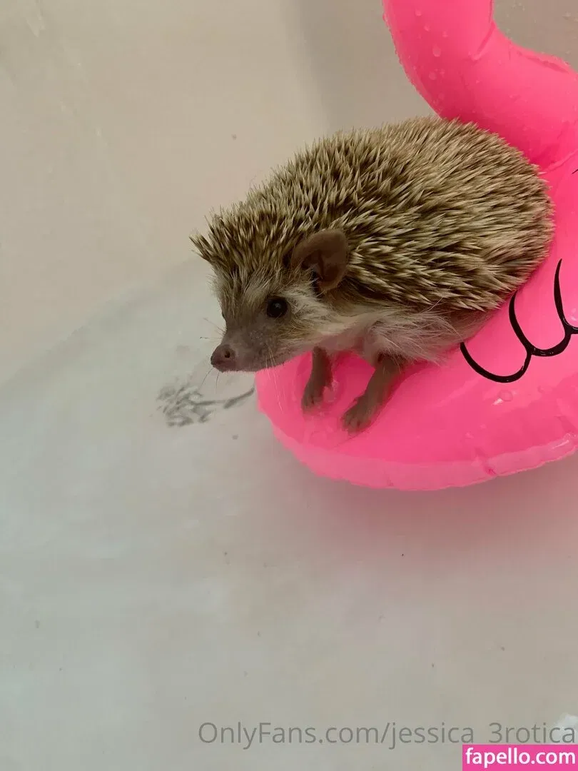 jessica_beelove Onlyfans Photo Gallery 