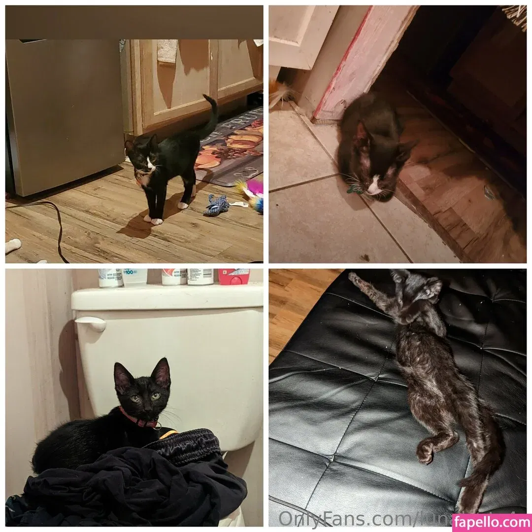 lunalusts4u Onlyfans Photo Gallery 