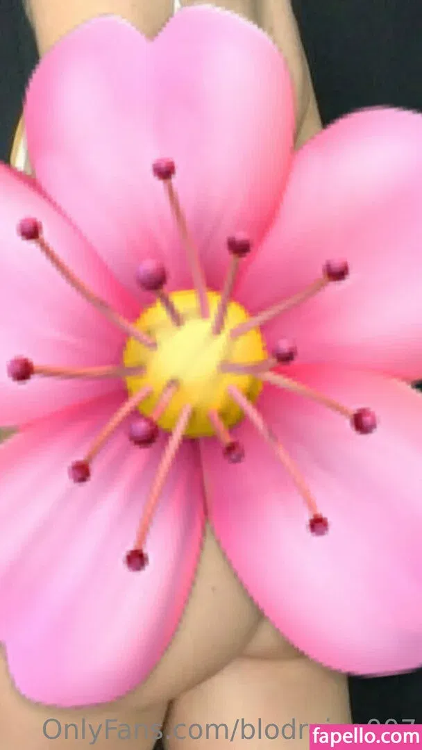 blodreina007 Onlyfans Photo Gallery 