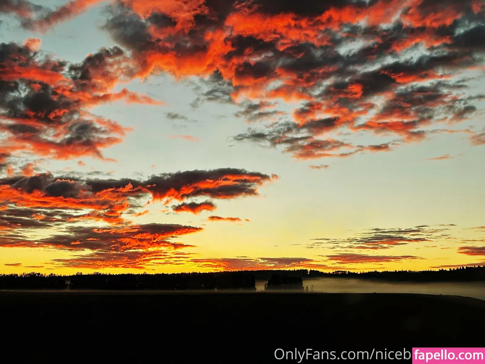 nicebassblondie Onlyfans Photo Gallery 