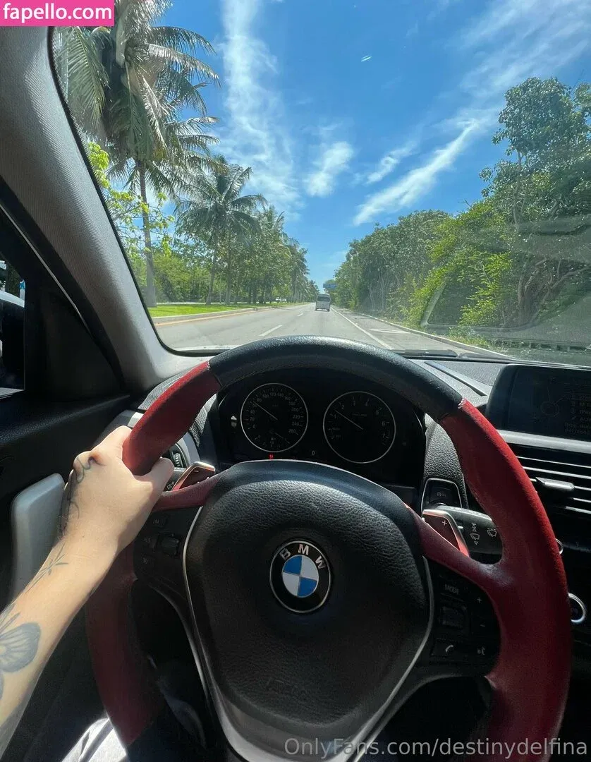 destinydelfina Onlyfans Photo Gallery 