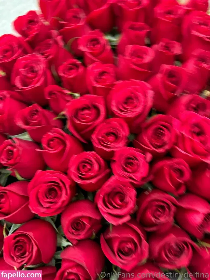destinydelfina Onlyfans Photo Gallery 