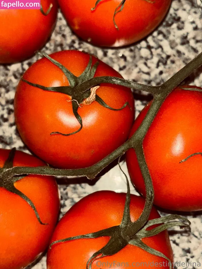 destinydelfina Onlyfans Photo Gallery 