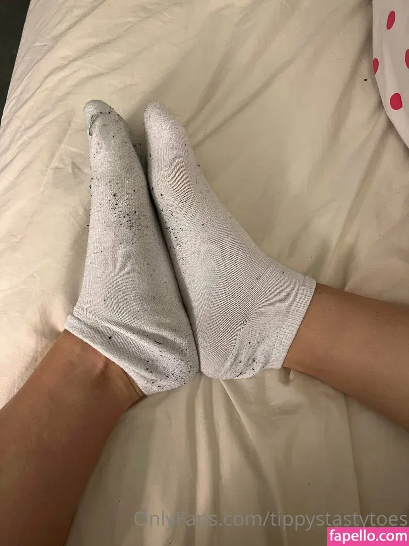 tippystastytoes Onlyfans Photo Gallery 
