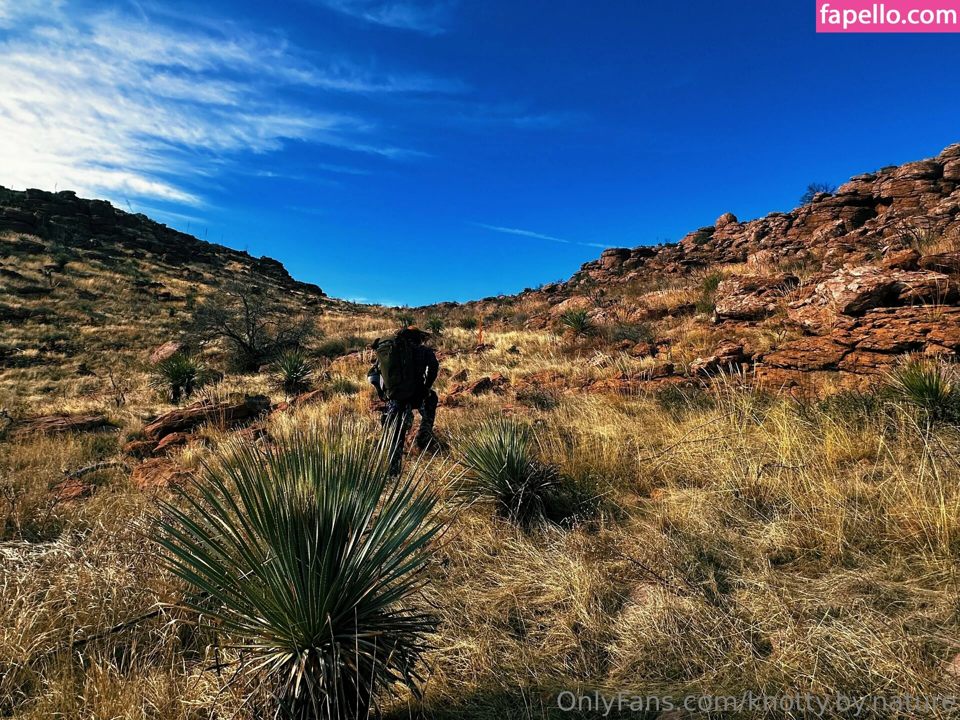 knotty.by.nature Onlyfans Photo Gallery 