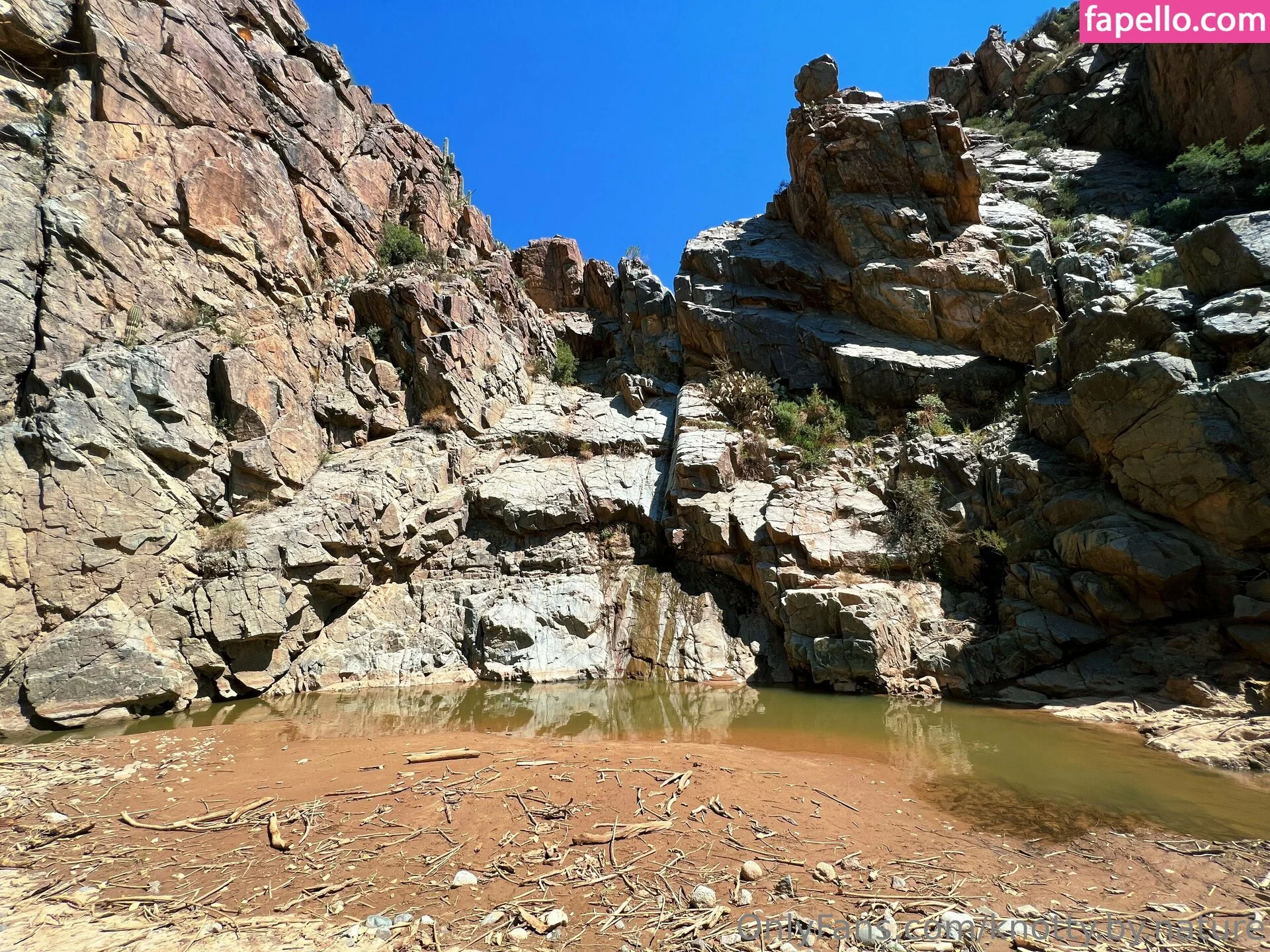 knotty.by.nature Onlyfans Photo Gallery 