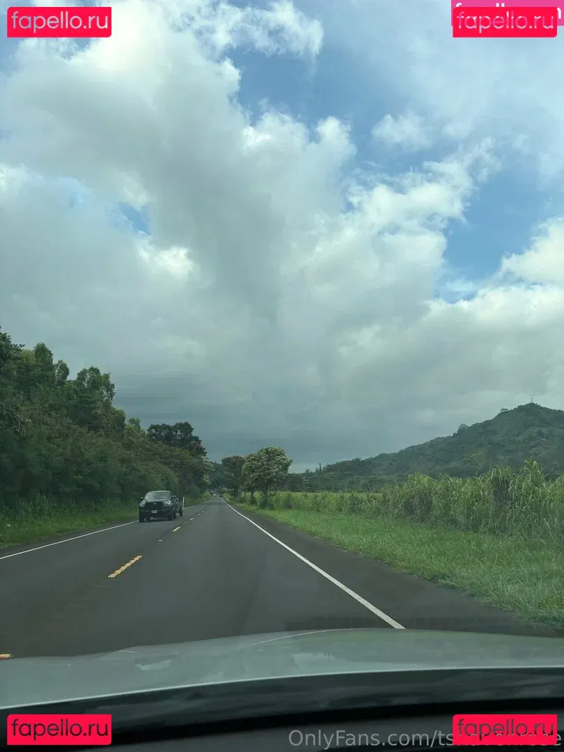 tshavenrose Onlyfans Photo Gallery 