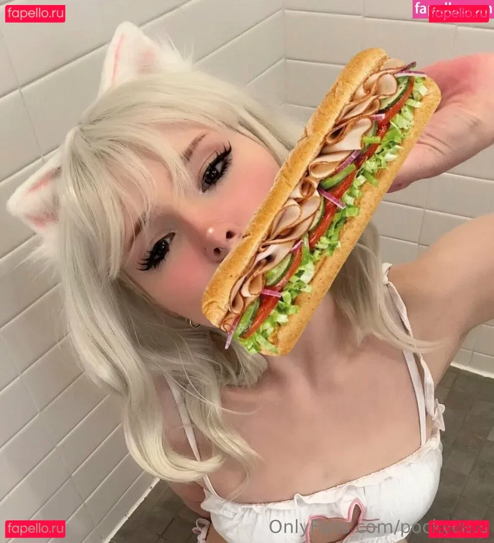 Pockycats Onlyfans Photo Gallery 