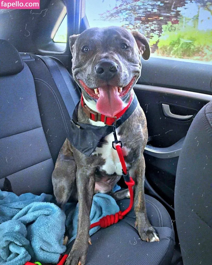 Nerea Lopez Onlyfans Photo Gallery 