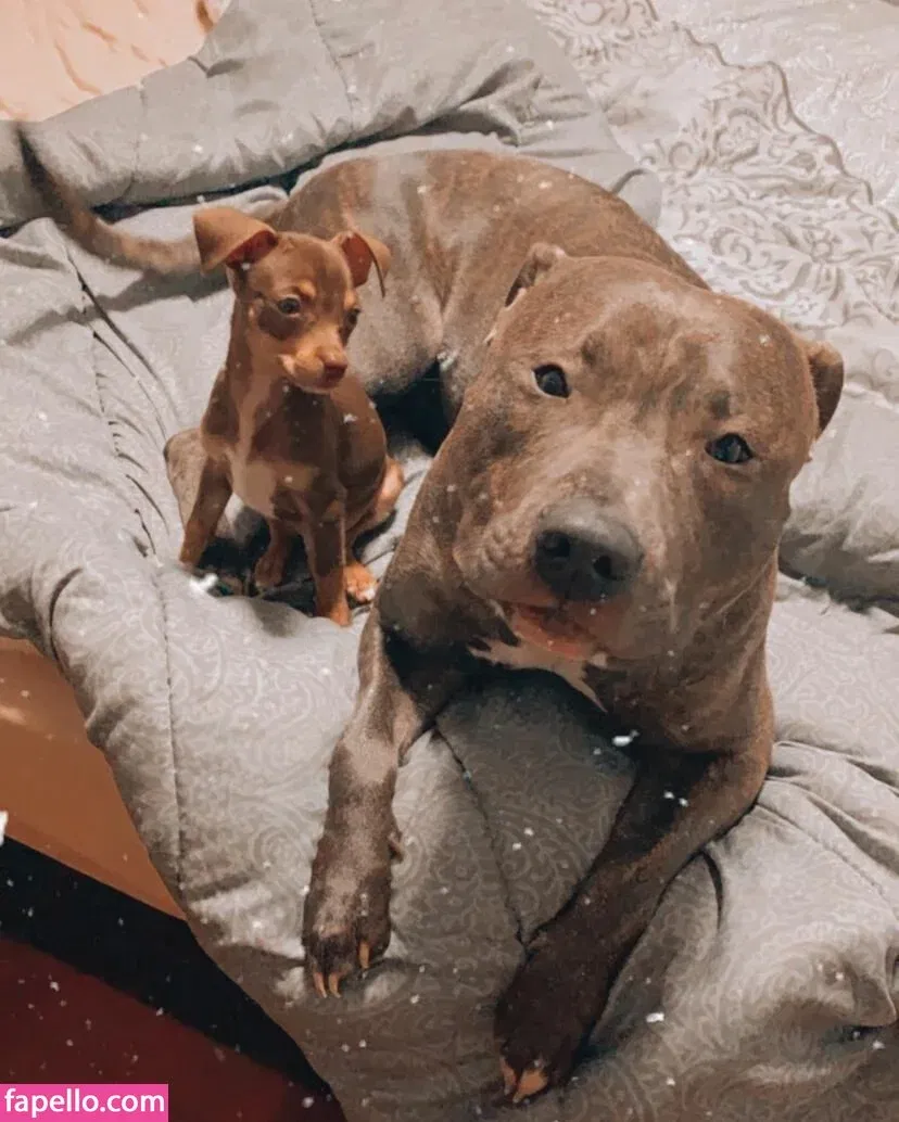 Nerea Lopez Onlyfans Photo Gallery 