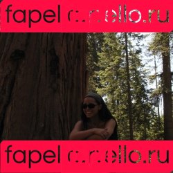 Inde Navarrette Onlyfans Photo Gallery 