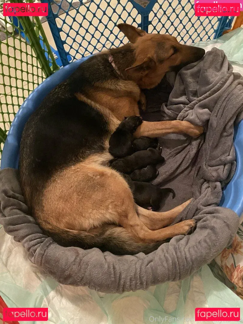 Hayley L Onlyfans Photo Gallery 