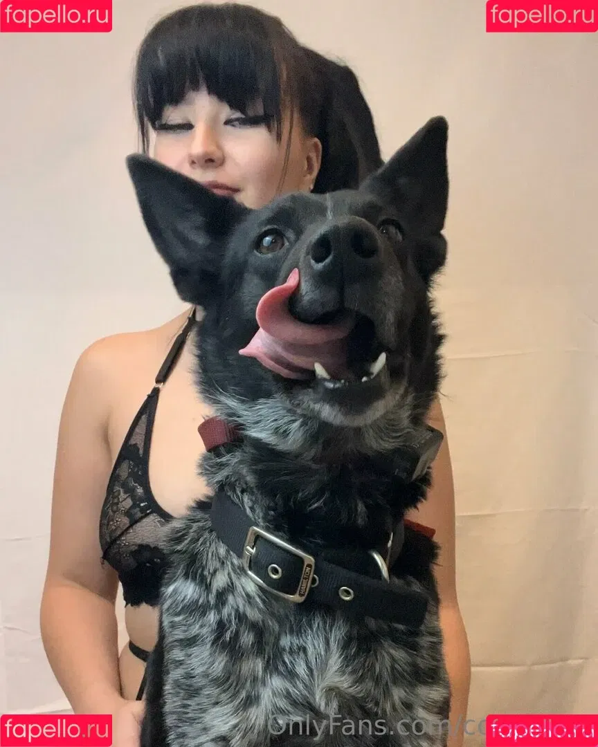 copiekat8 Onlyfans Photo Gallery 