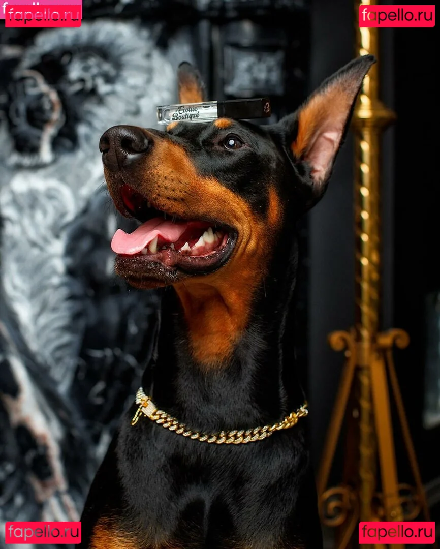 Thailiian Onlyfans Photo Gallery 