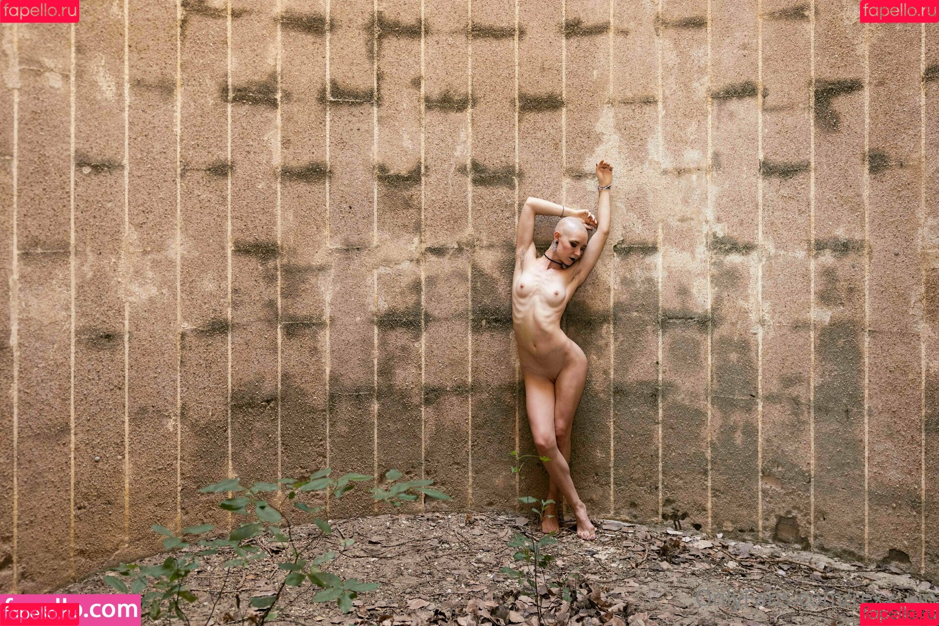 goddess_tiereny Onlyfans Photo Gallery 