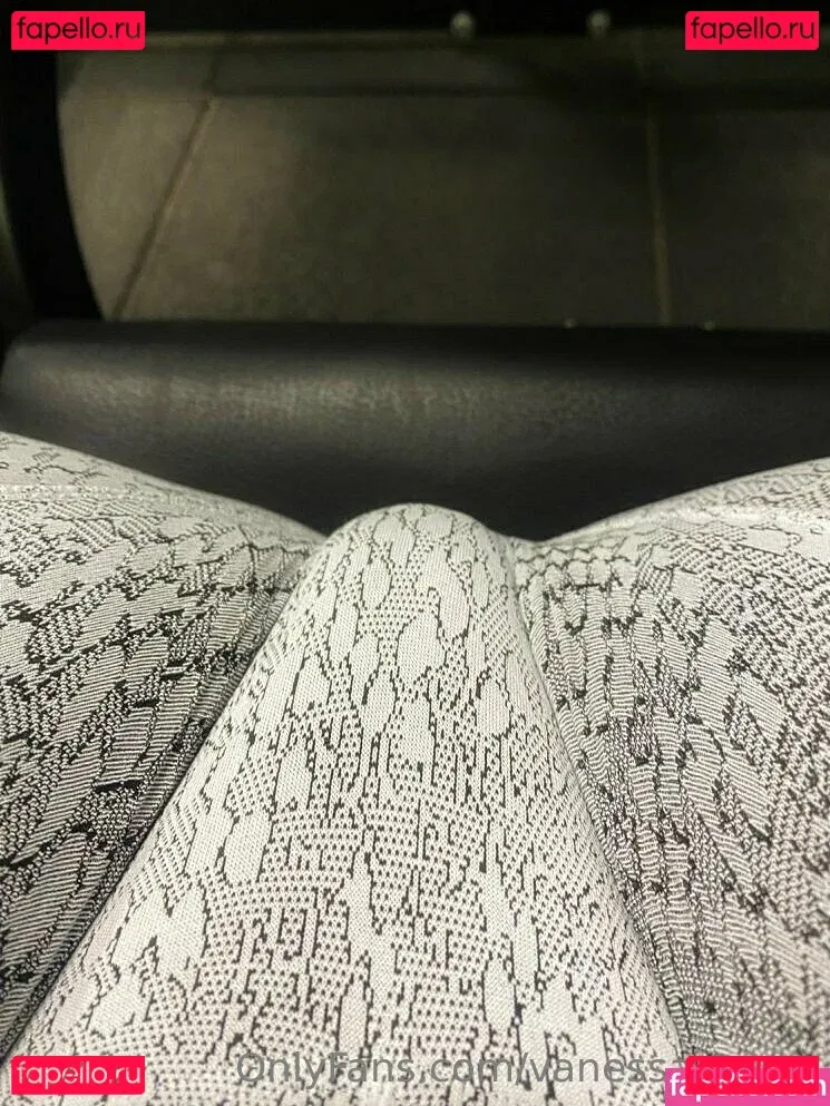 vanessa_nunu Onlyfans Photo Gallery 