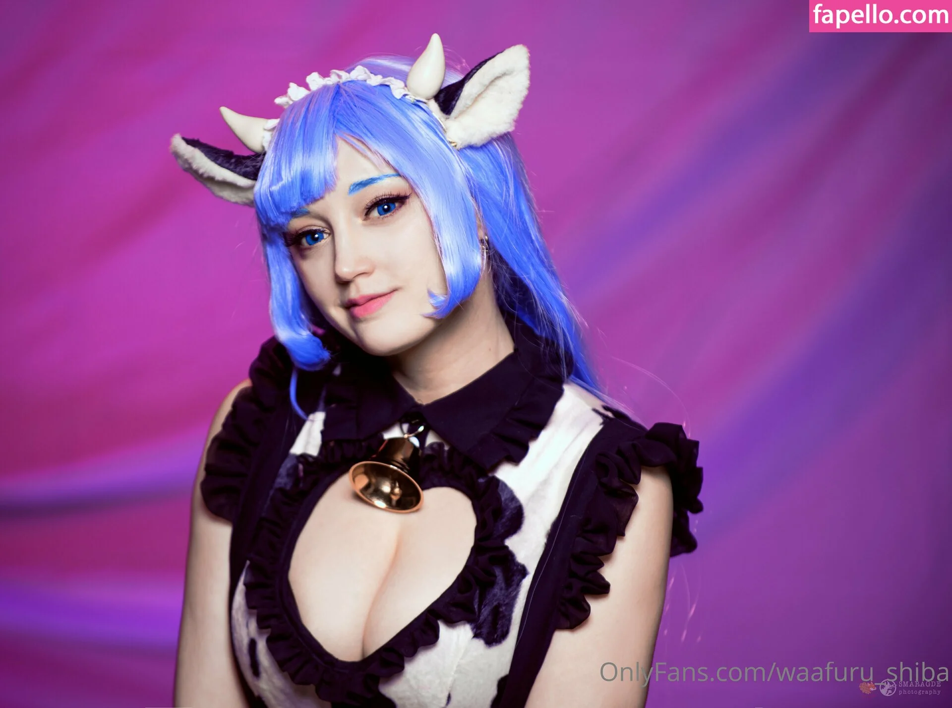 waafuru_shiba Onlyfans Photo Gallery 