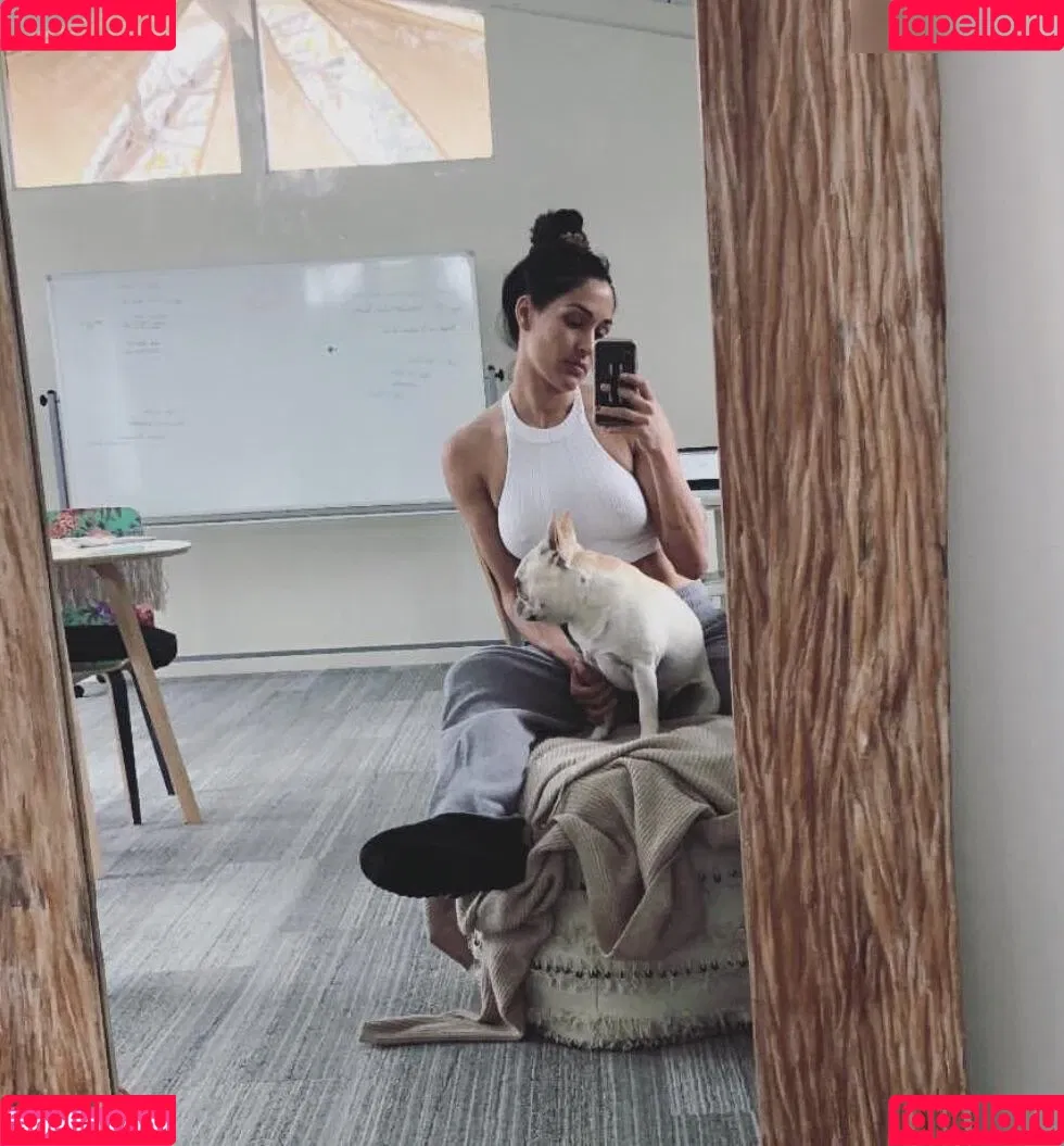 Nikki Bella Onlyfans Photo Gallery 