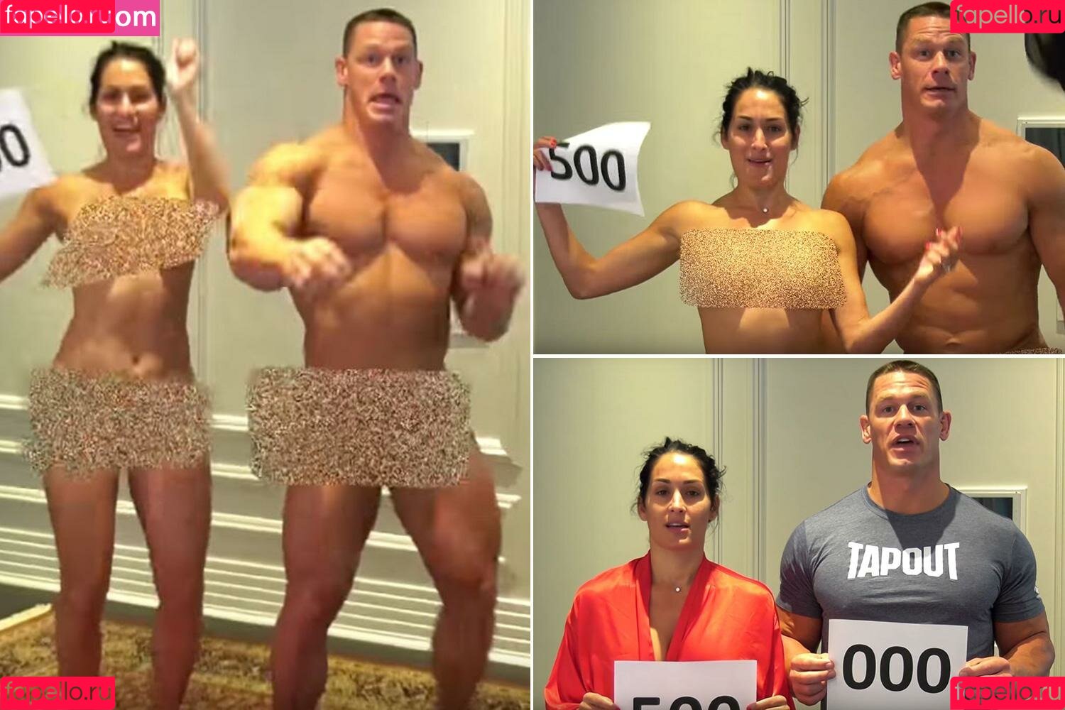 Nikki Bella Onlyfans Photo Gallery 